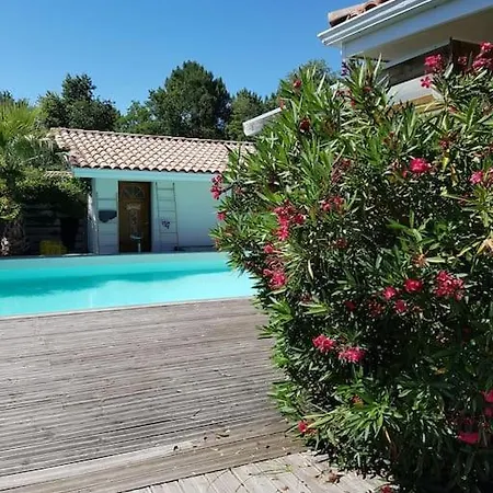 Serenity Villa *